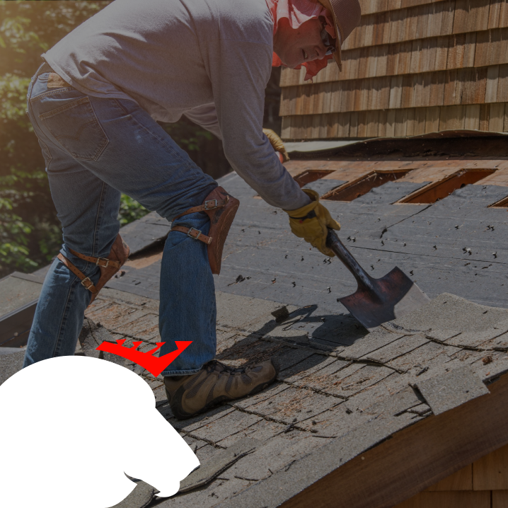Fort Collins Roof Repair Experts