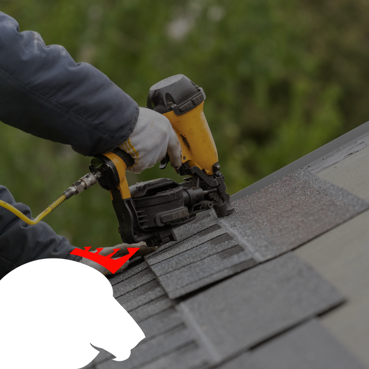 Fort Collin's Experts In Roofing Services